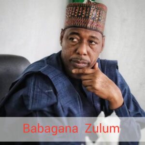 Babagana Umar Zulum Biography 