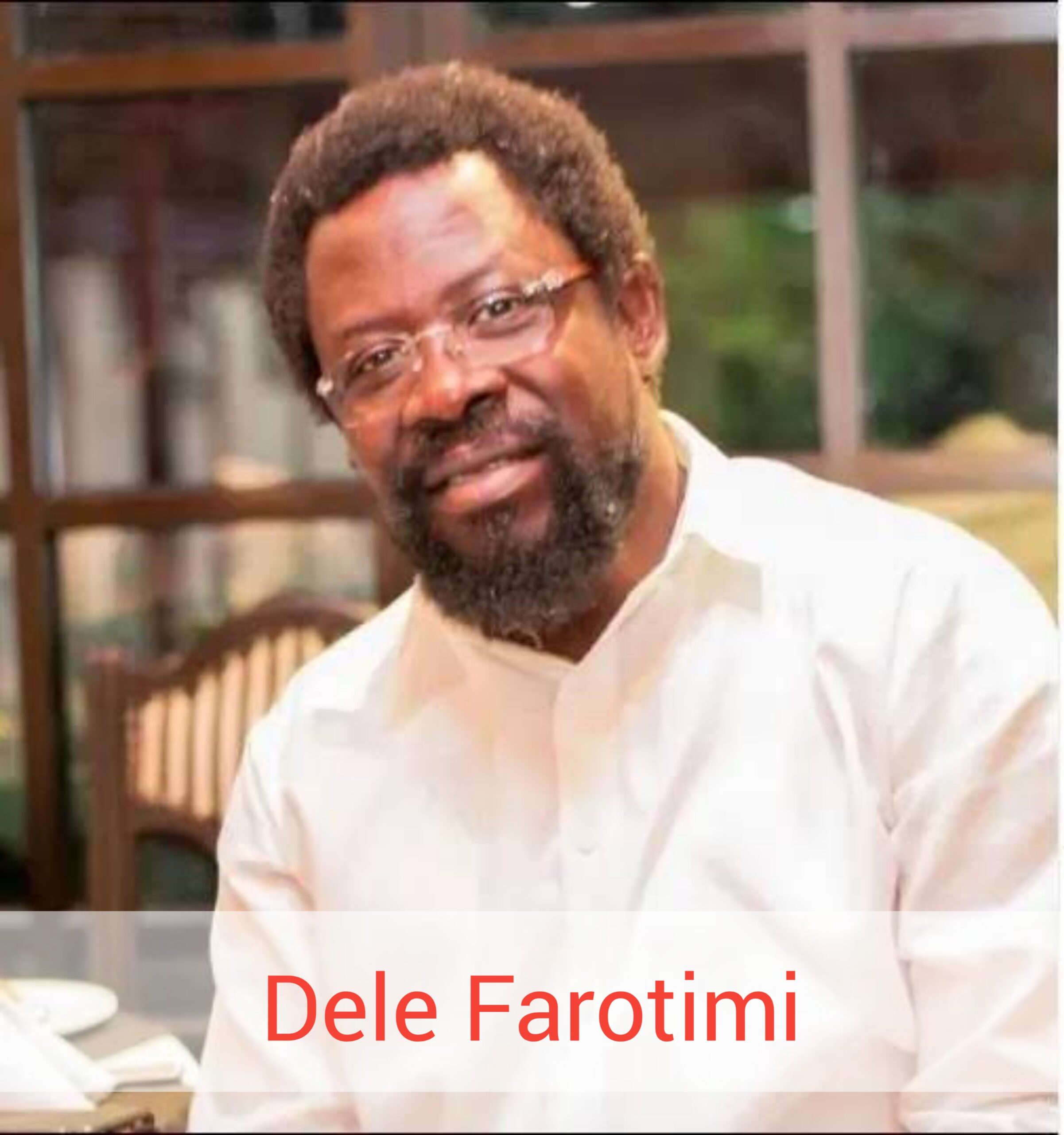 Dele Farotimi Biography