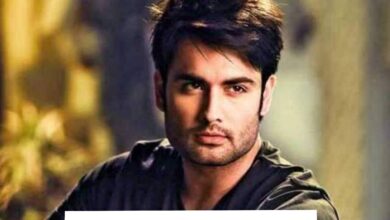 Vivian Dsena Biography